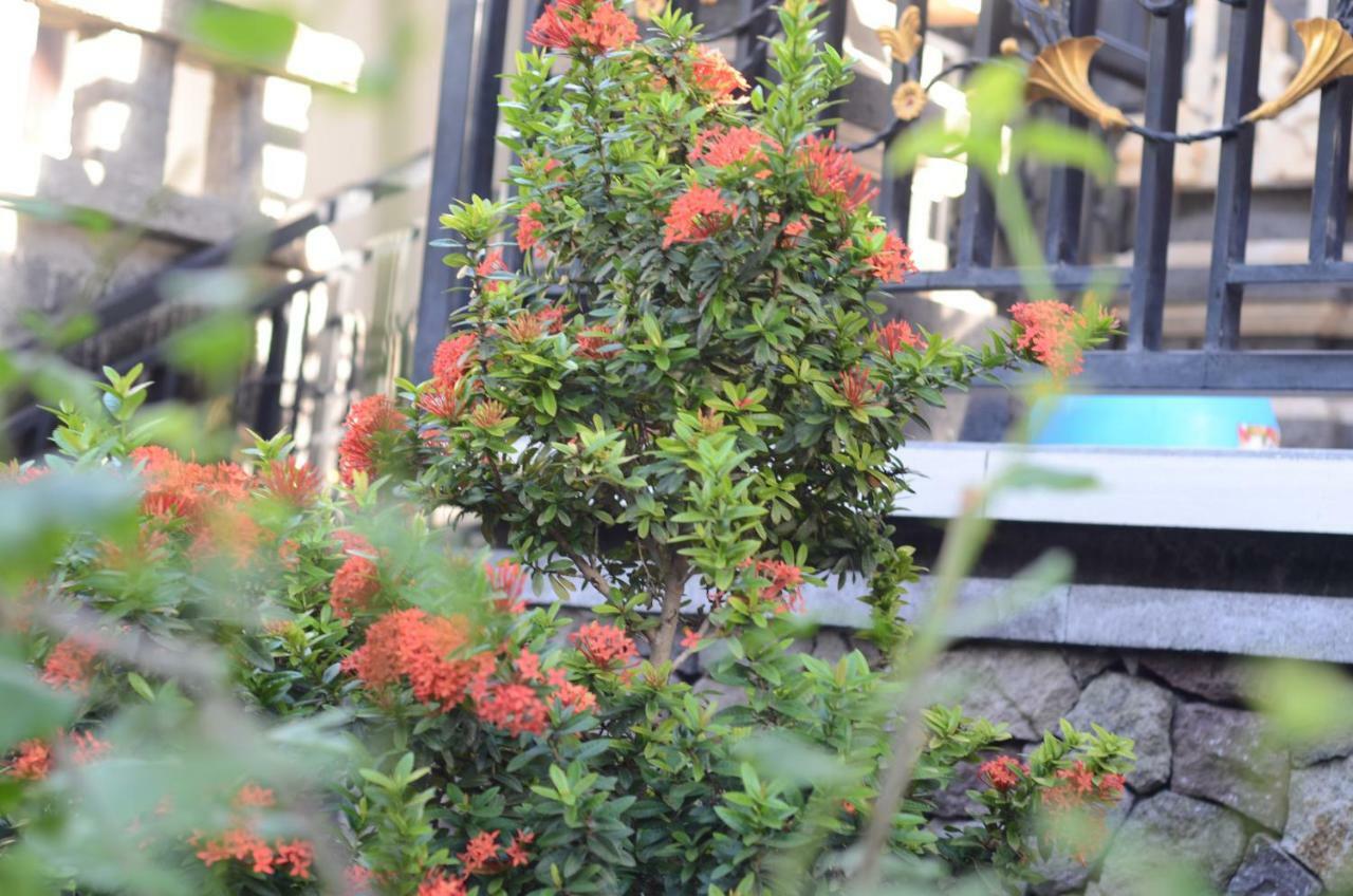 Amed Romance House Esterno foto